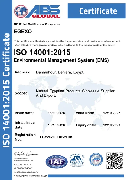 EGEXO ISO 14001:2015 certificate, registration no. EGY2026001052EMS