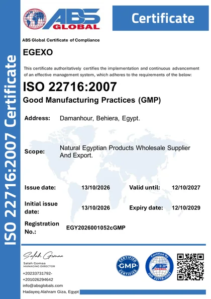 EGEXO ISO 22716:2007 certificate, registration no. EGY2026001052cGMP