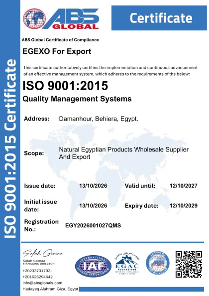 EGEXO ISO 9001:2015 certificate, registration no. EGY2026001027QMS