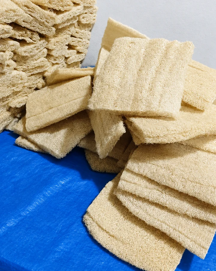 Flattened loofah cut into sheets on a work table