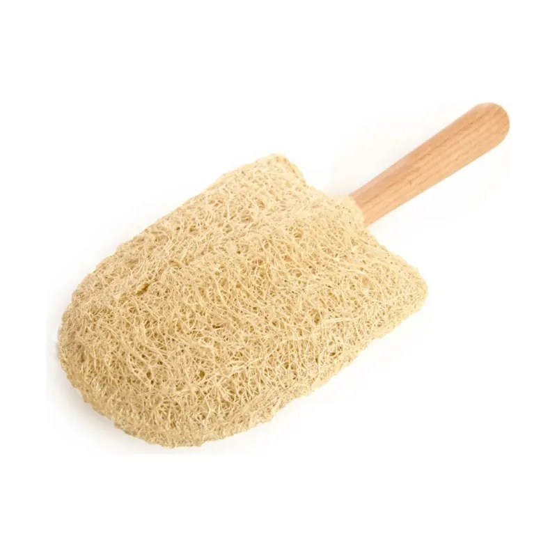 Double-Sided Loofah Stick