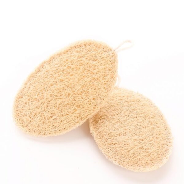 Oval-Kitchen-Loofah-Scrubber