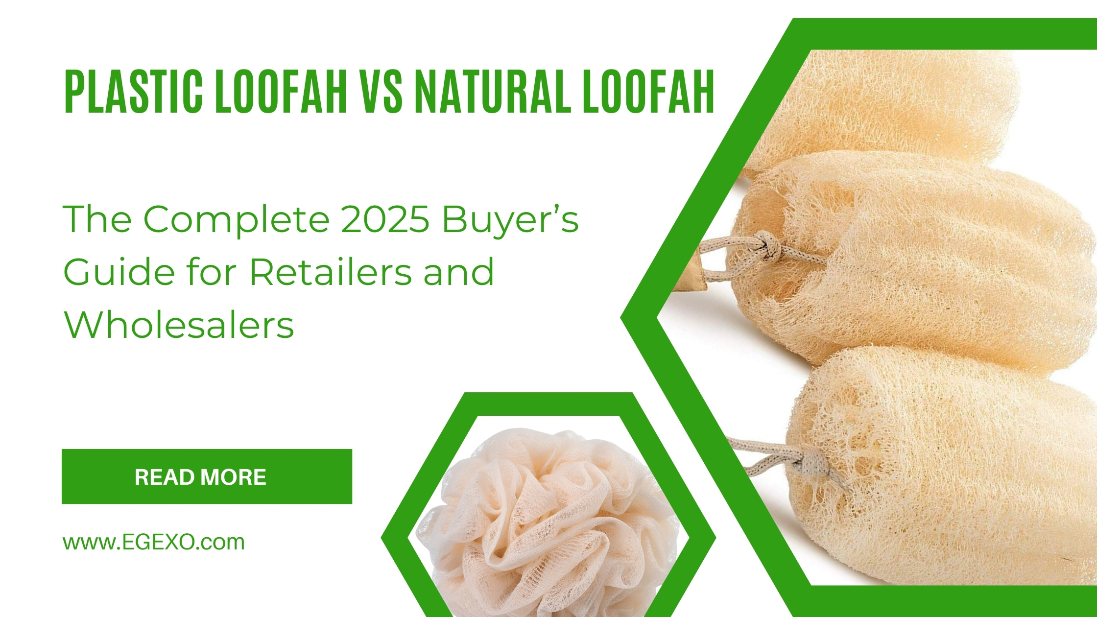 Plastic Loofah vs Natural Loofah: The Complete 2025 Buyer’s Guide for Retailers and Wholesalers