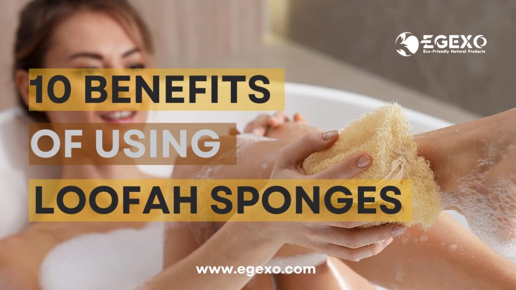 10 Benefits of Using a Loofah Sponge-EGEXO