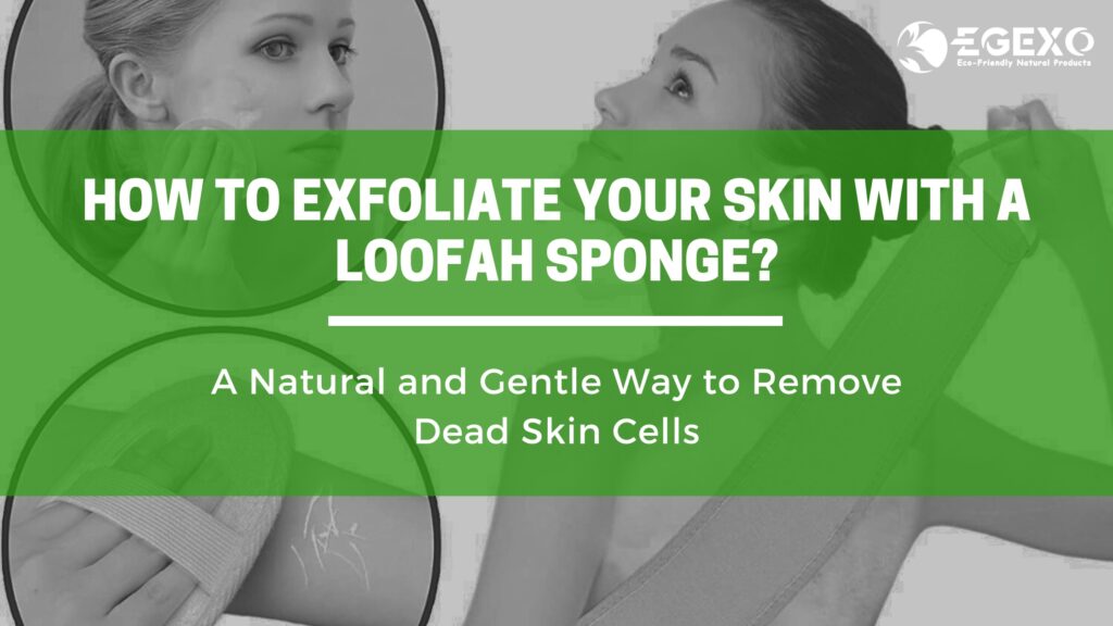 How to Exfoliate Your Skin with a Loofah Sponge-EGEXO