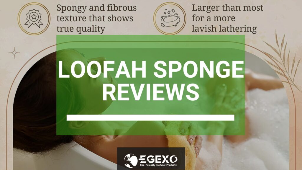 Loofah Sponge Reviews--EGEXO