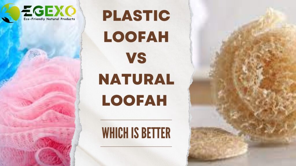 Plastic Loofah vs Natural Loofah-EGEXO