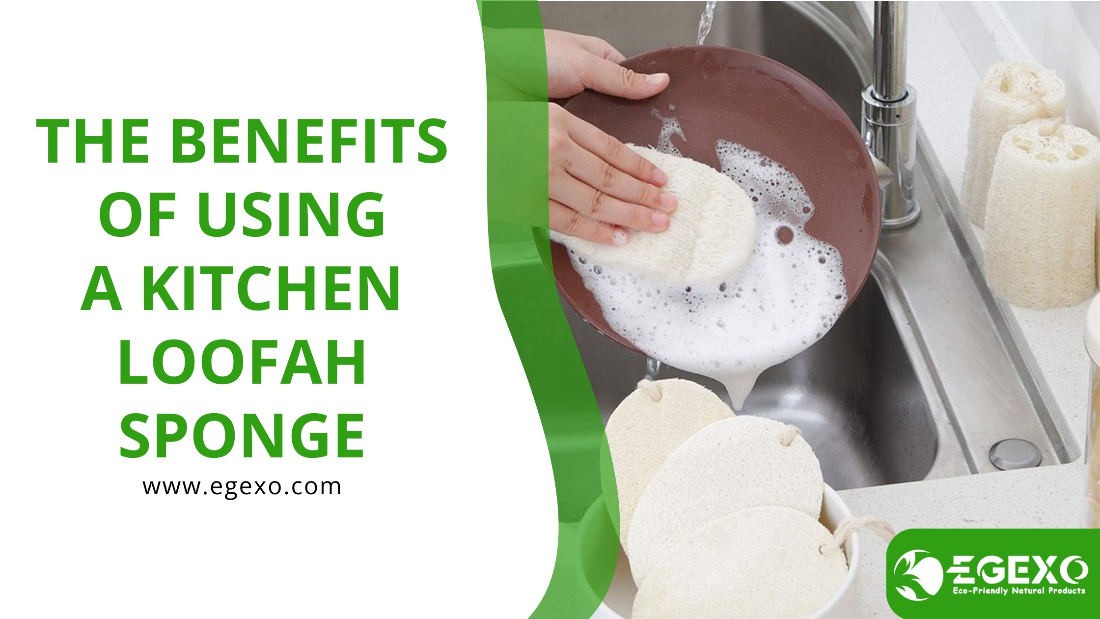 The Benefits of Using a Kitchen Loofah Sponge-EGEXO