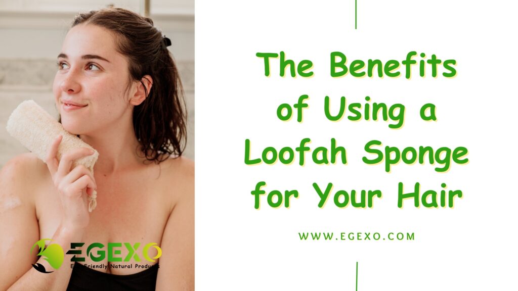 The Benefits of Using a Loofah Sponge for Your Hair-EGEXO