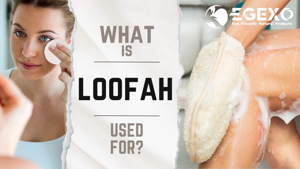 What is Loofah Used For-EGEXO