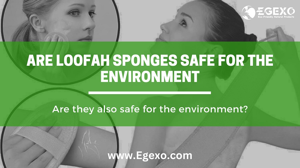 Are Loofah Sponges Safe for the Environment?