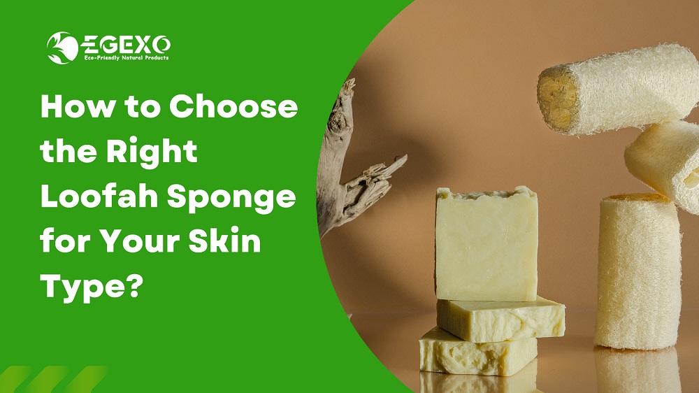 How to choose the right loofah sponge for your skin type ?