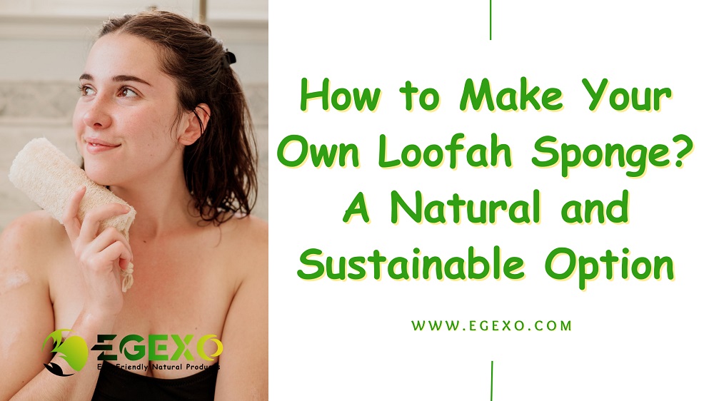 How to Make Your Own Loofah Sponge A Natural and Sustainable Option