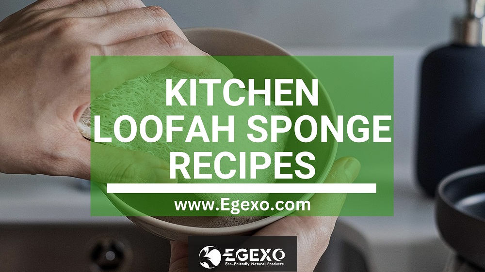 Kitchen Loofah Sponge Recipes