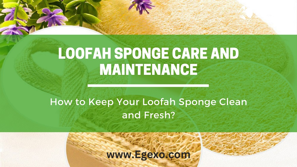 Loofah Sponge Care and Maintenance, How to Keep Your Loofah Sponge Clean and Fresh