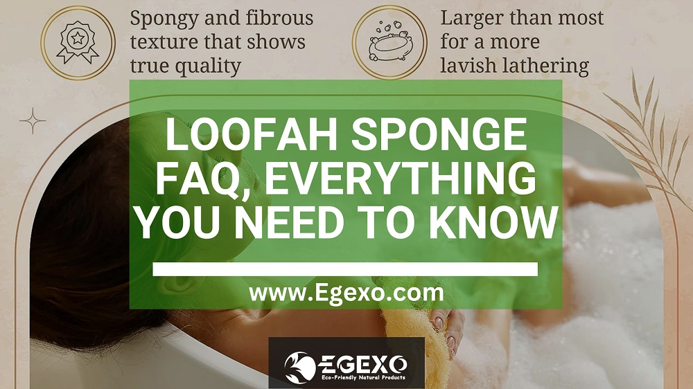 Loofah Sponge FAQ: Everything You Need to Know