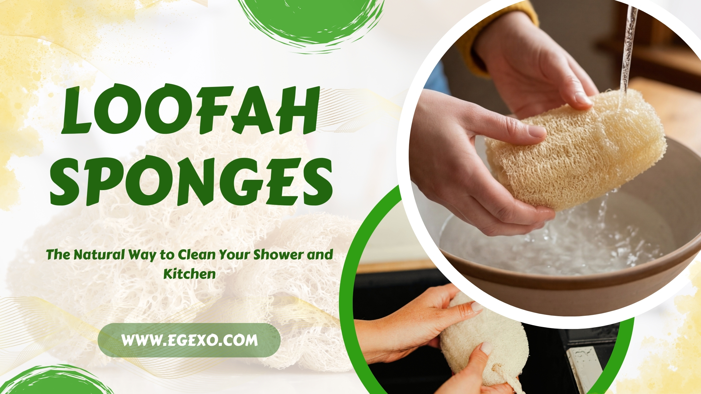 Loofah: The Natural Way to Clean Your Shower and Kitchen