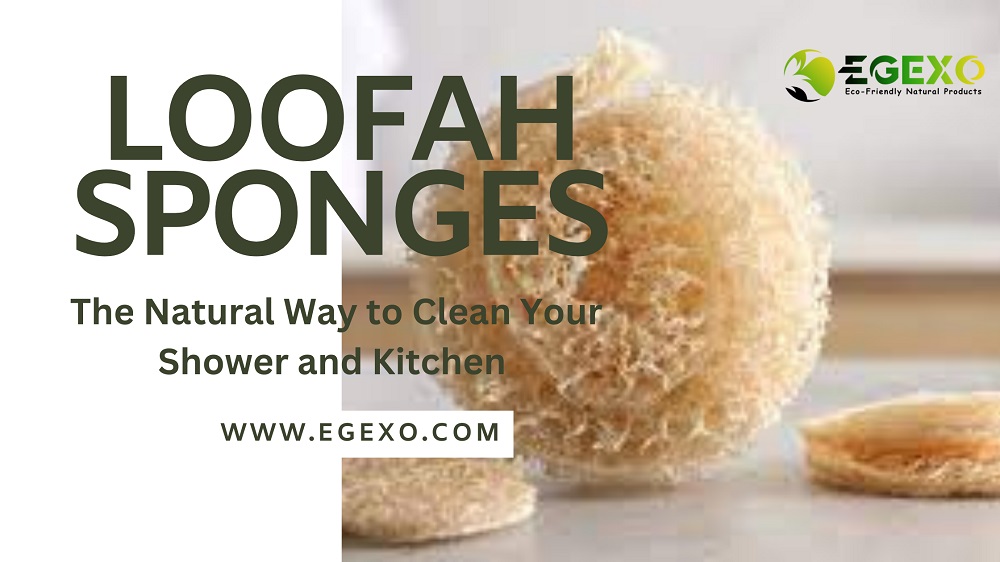 Loofah Sponges: The Natural Way to Clean Your Shower and Kitchen