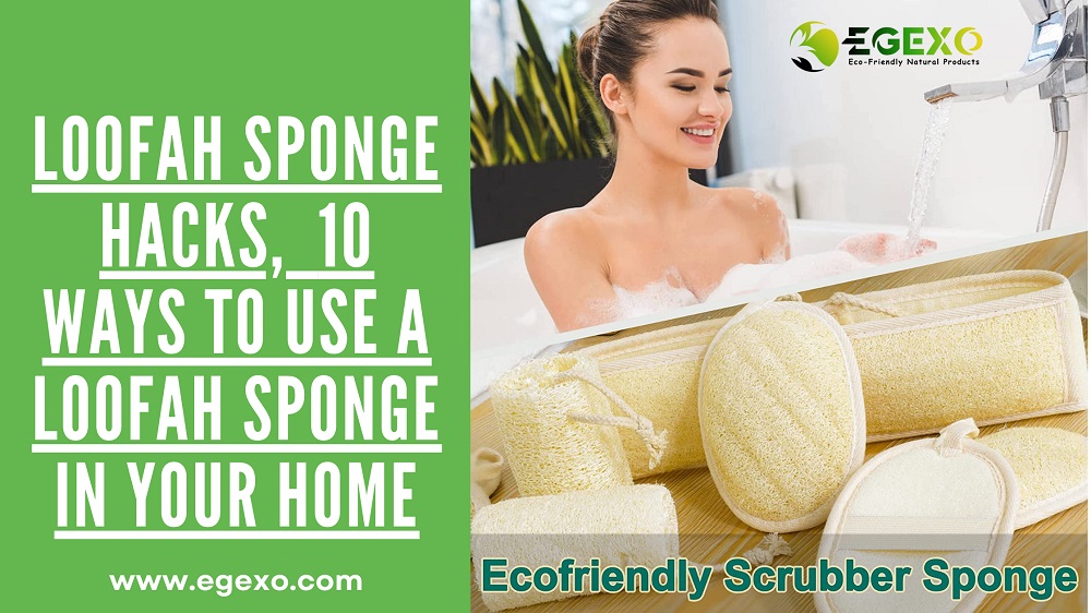 Loofah Sponge Hacks: 10 Ways to Use a Loofah Sponge in Your Home