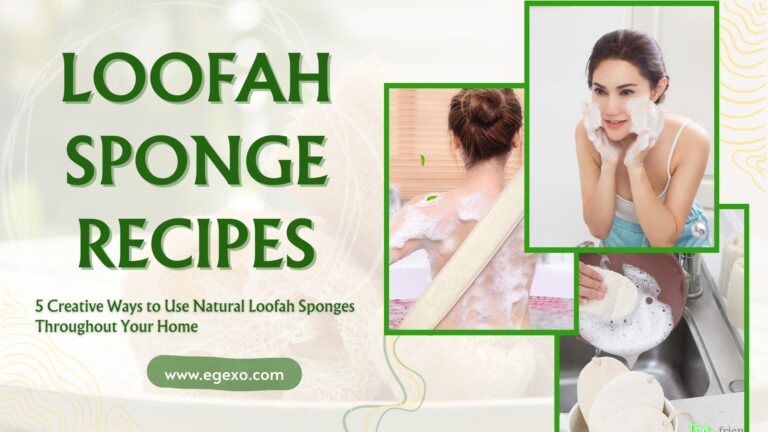 Loofah Recipes: 5 Ways to Use Loofah in Your Home - Egexo
