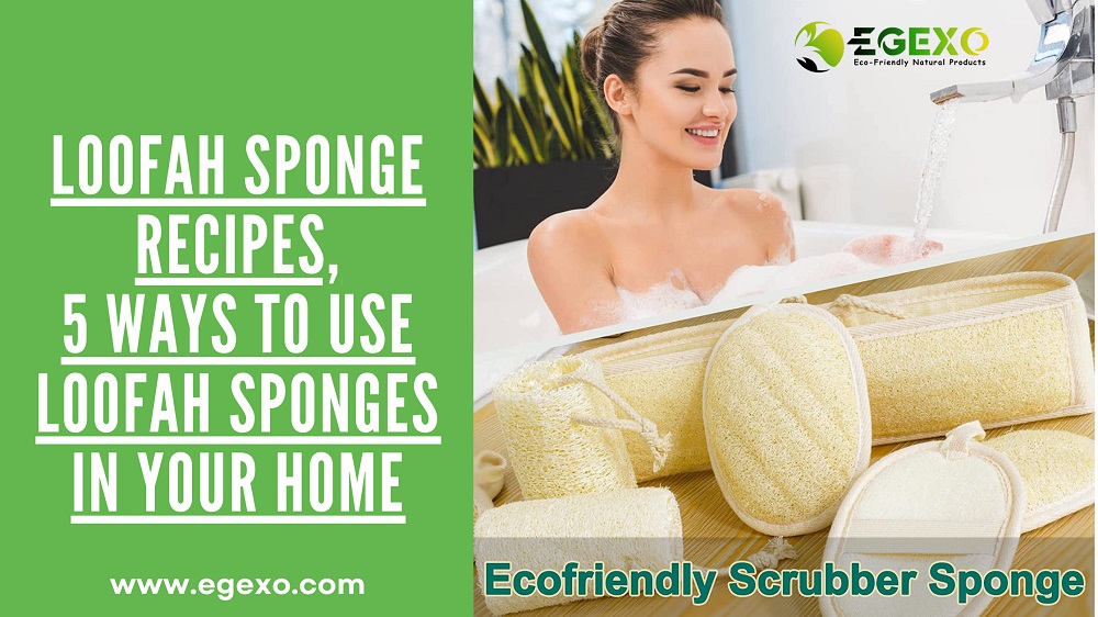 Loofah Sponge Recipes: 5 Ways to Use Loofah Sponges in Your Home