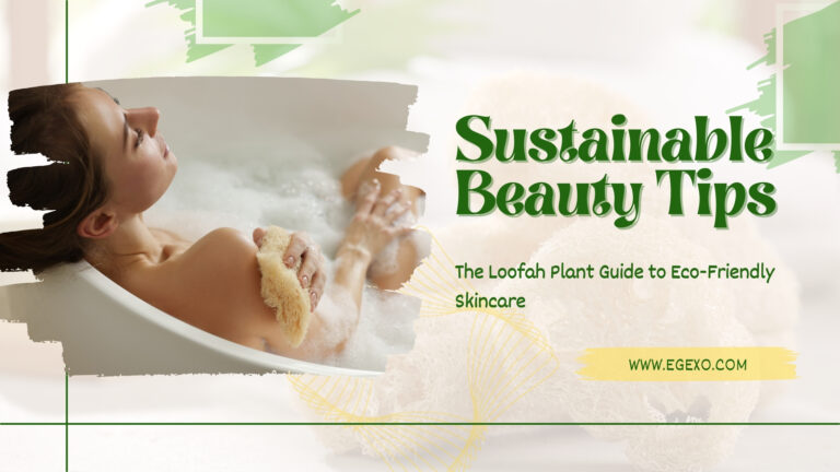 How to Look Good Without Harming the Planet - EGEXO