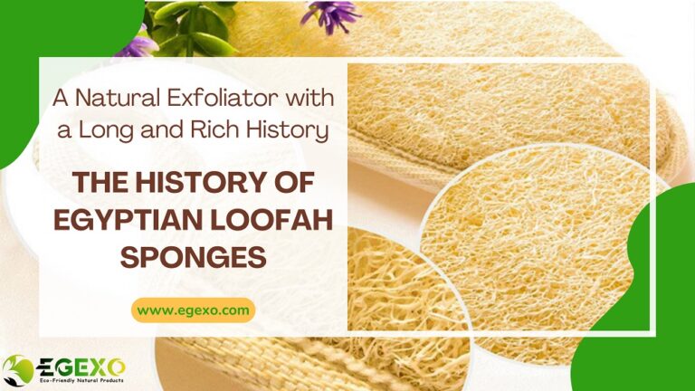 The History of Egyptian Loofah Sponges: A Natural Exfoliator with a Long and Rich History