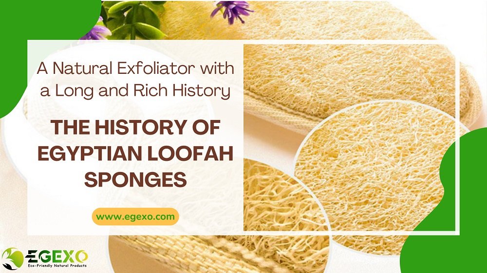 The History of Egyptian Loofah Sponges: A Natural Exfoliator with a Long and Rich History