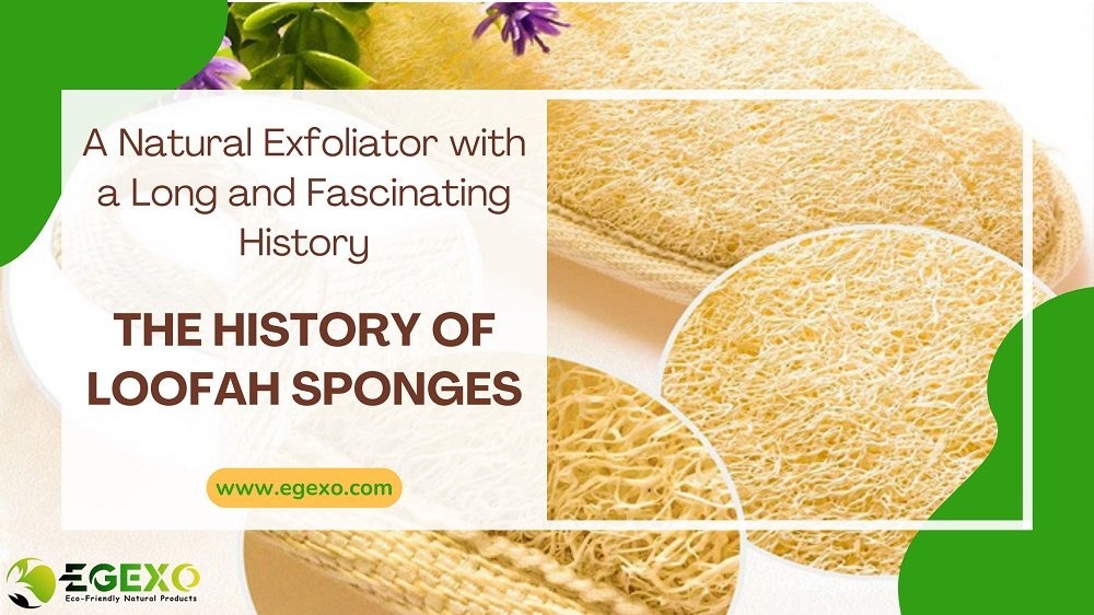 The History of Loofah Sponges: A Natural Exfoliator with a Long and Fascinating History