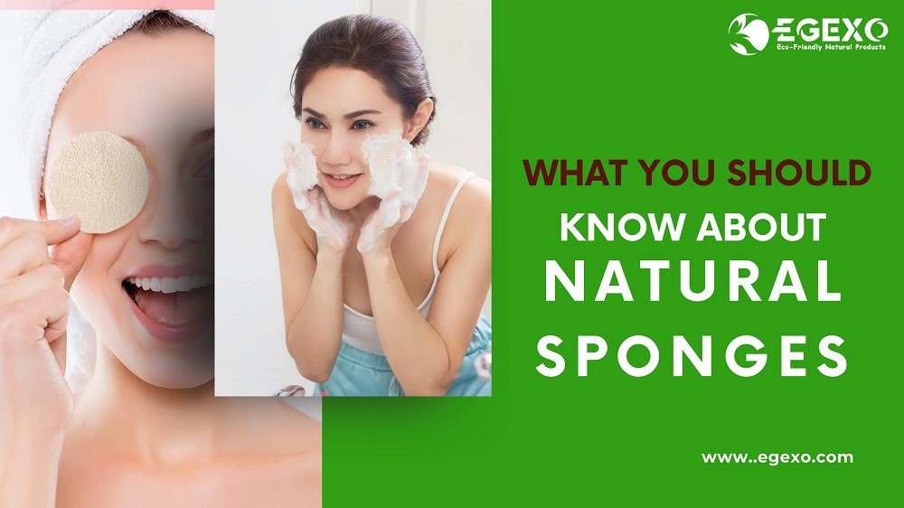 What You Should Know About Natural Sponges