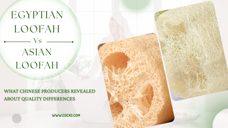 What Chinese Producers Said about Egyptian Loofah - EGEXO