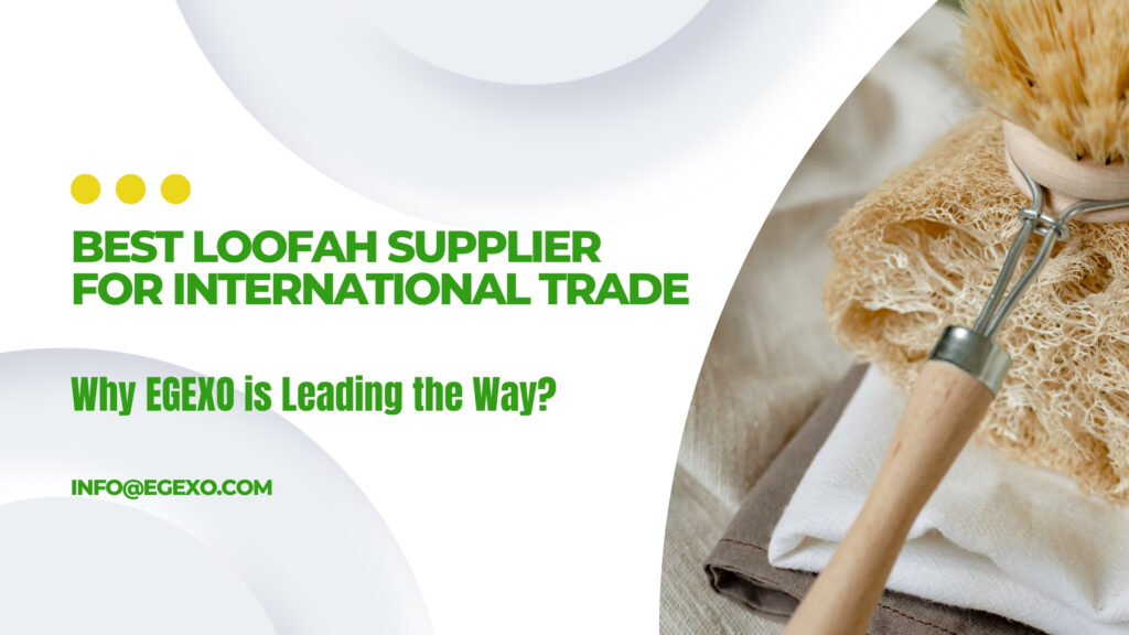 Best Loofah Supplier for International Trade: Why EGEXO is leading the Way