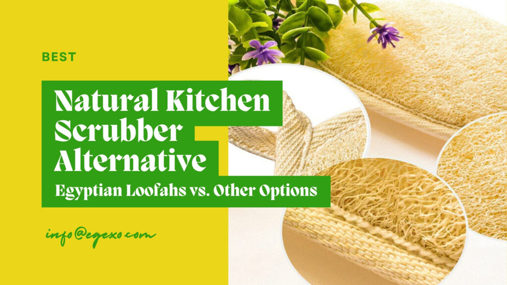 Best Natural Kitchen Scrubber Alternative: Egyptian Loofahs vs. Other Options