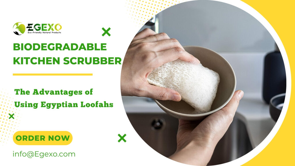 Biodegradable Kitchen Scrubber: The Advantages of Using Egyptian Loofahs