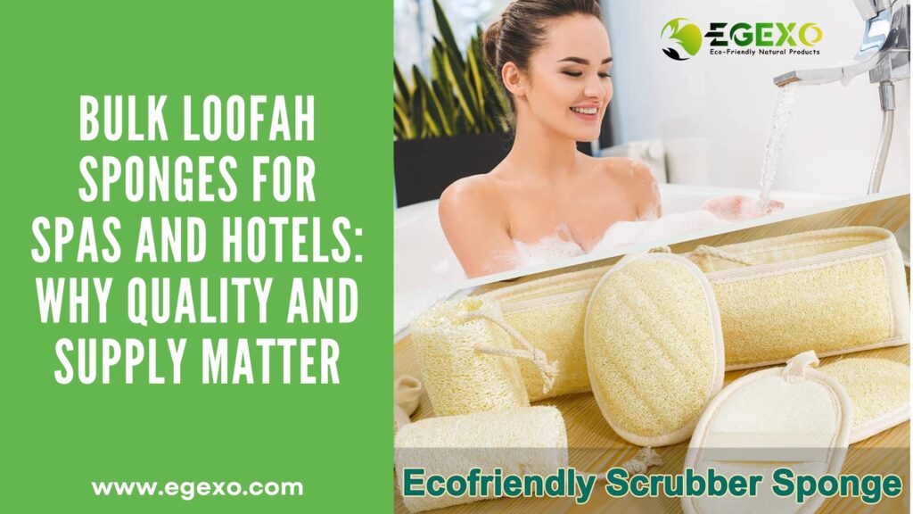 Bulk Loofah Sponges for Spas and Hotels: Why Quality and Supply Matter