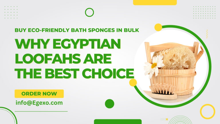 Buy Eco-Friendly Bath Sponges in Bulk: Why Egyptian Loofahs Are the Best Choice
