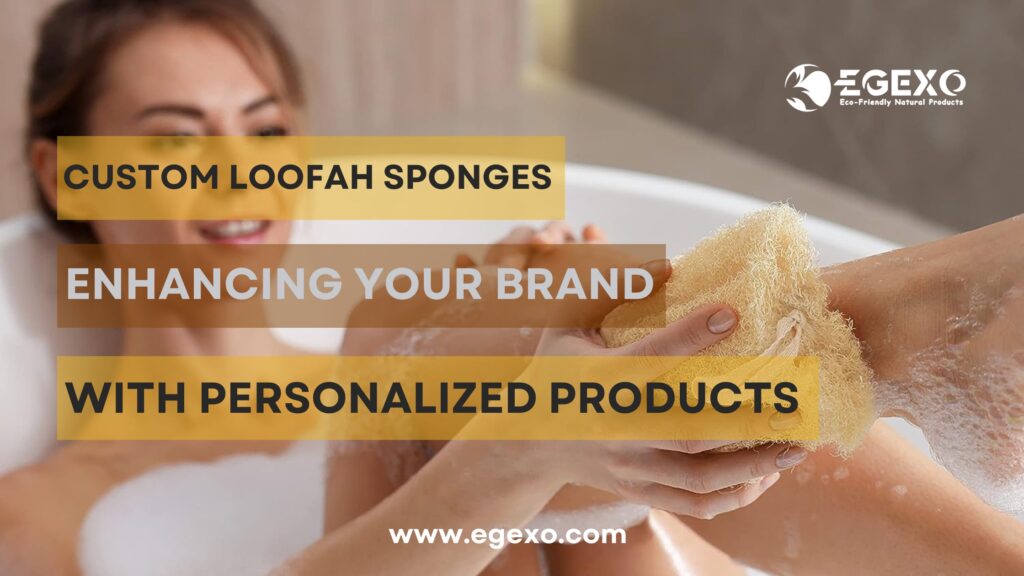 Custom Loofah Sponges: Enhancing Your Brand with Personalized Products