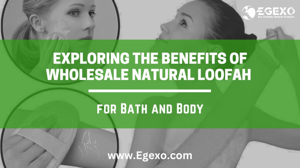 Exploring the Benefits of Wholesale Natural Loofah for Bath and Body