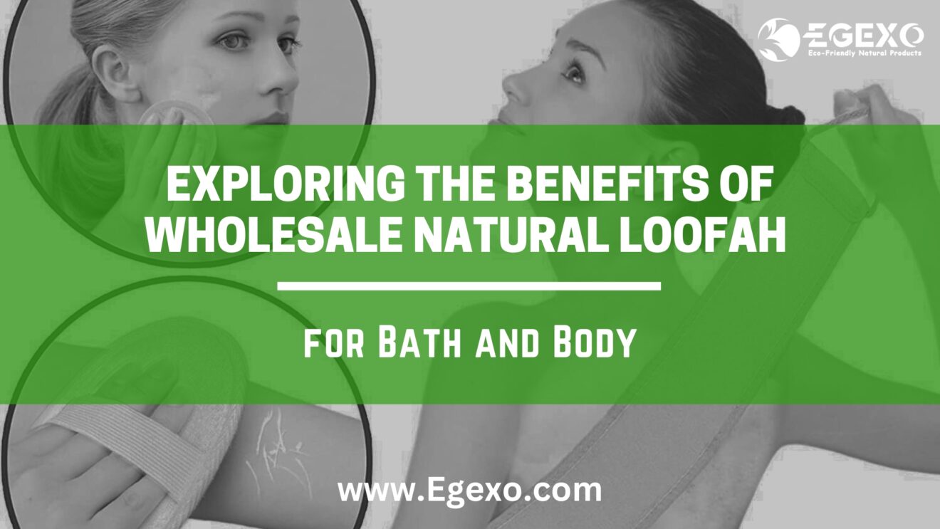 Exploring the Benefits of Wholesale Natural Loofah for Bath