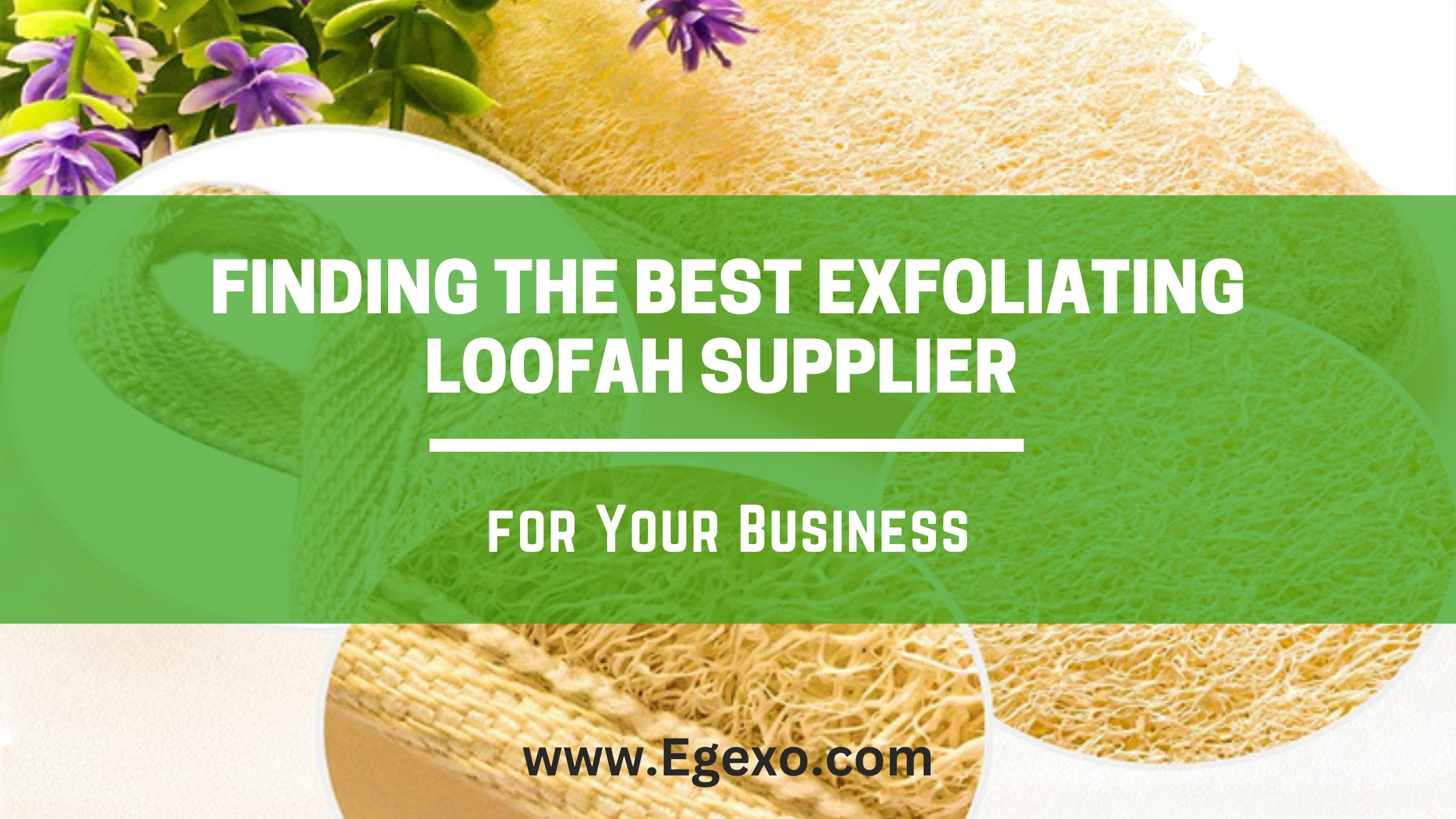 Finding the Best Exfoliating Loofah Supplier for Your Business