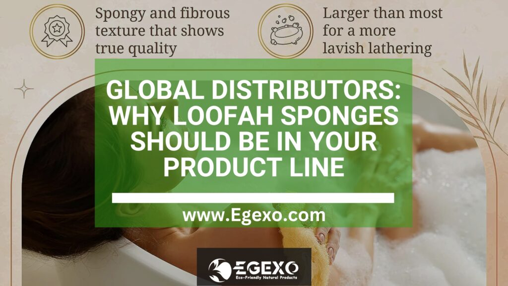 Global Distributors: Why Loofah Sponges Should Be in Your Product Line