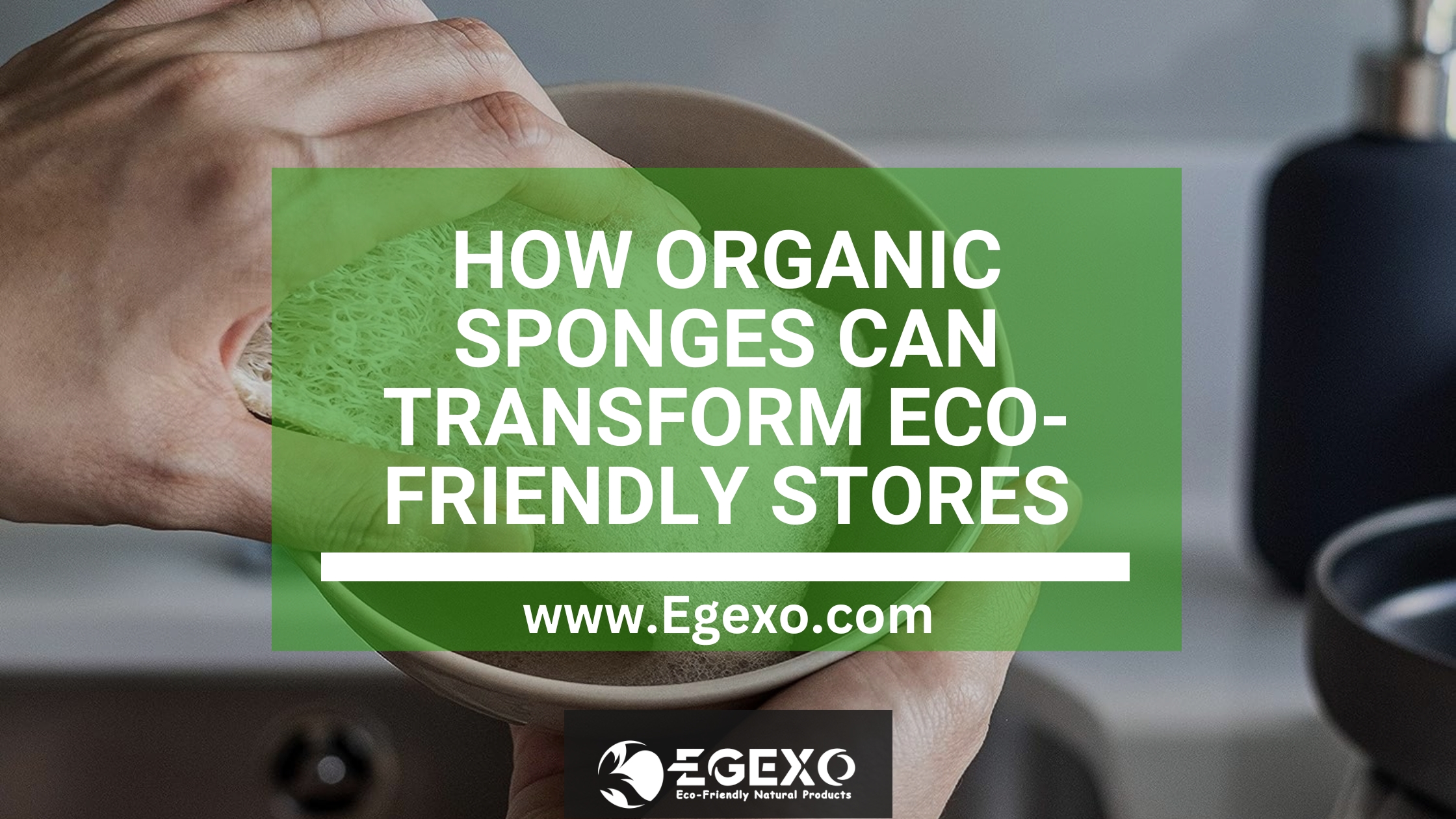 How Organic Sponges Can Transform Eco-Friendly Stores