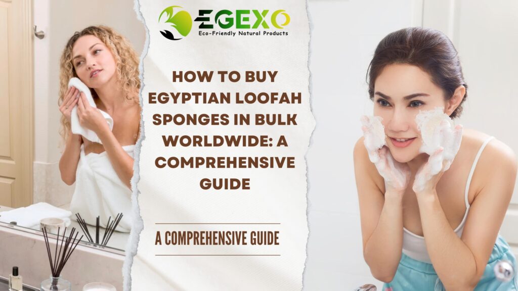 How to Buy Egyptian Loofah Sponges in Bulk Worldwide: A Comprehensive Guide