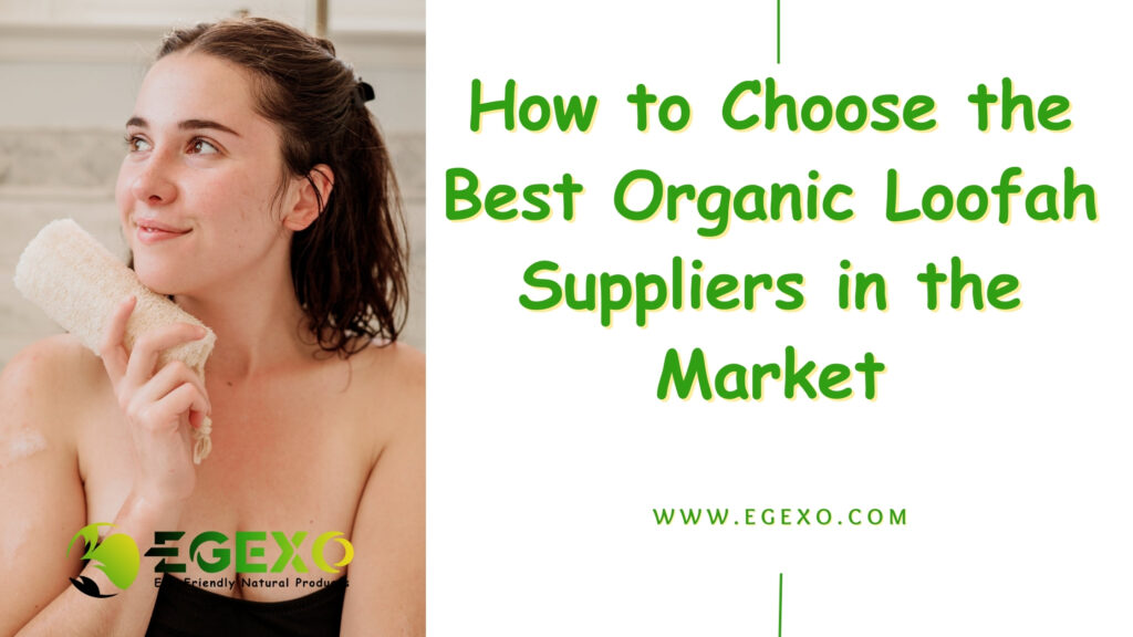 How to Choose the Best Organic Loofah Suppliers in the Market