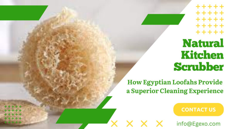 Natural Kitchen Scrubber: How Egyptian Loofahs Provide a Superior Cleaning Experience