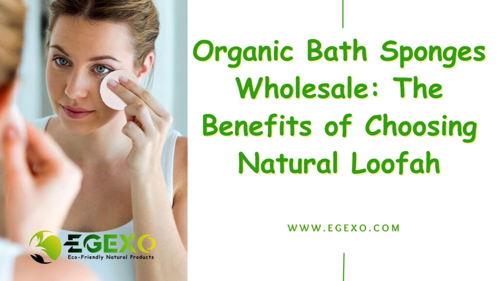 Organic Bath Sponges Wholesale: The Benefits of Choosing Natural Loofah