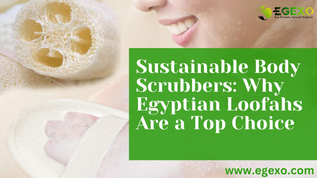 Sustainable Body Scrubbers: Why Egyptian Loofahs Are a Top Choice