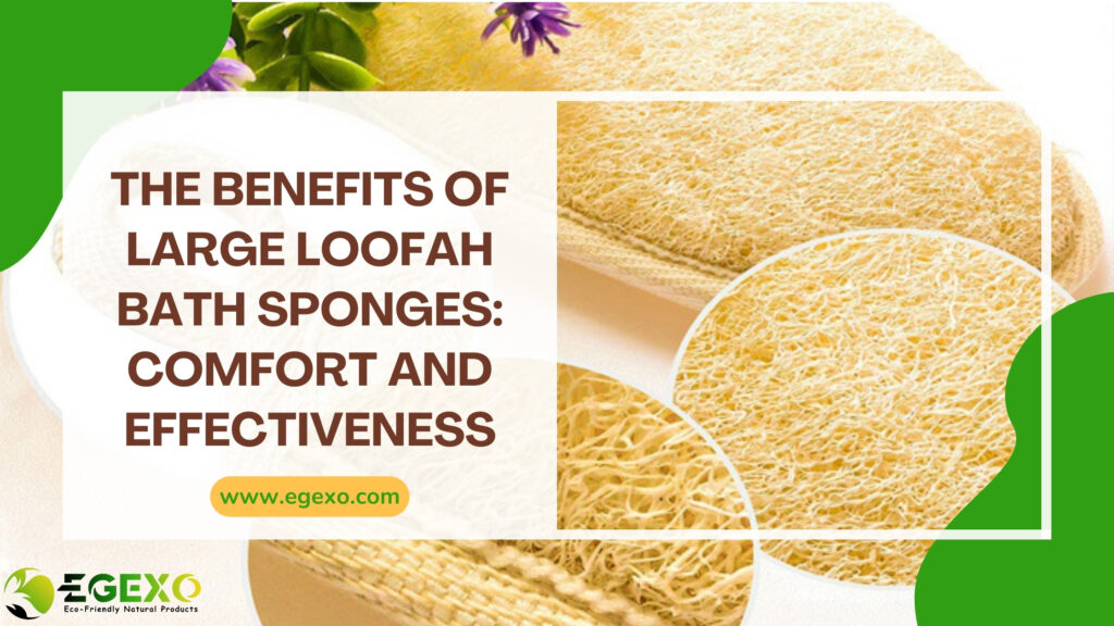 The Benefits of Large Loofah Bath Sponges: Comfort and Effectiveness