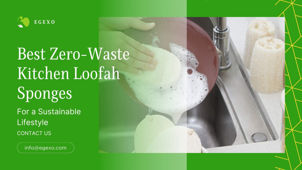 The Best Zero-Waste Kitchen Loofah Sponges for a Sustainable Lifestyle