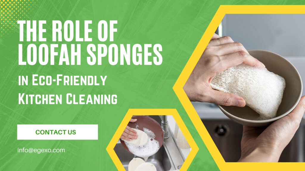 The Role of Loofah Sponges in Eco-Friendly Kitchen Cleaning